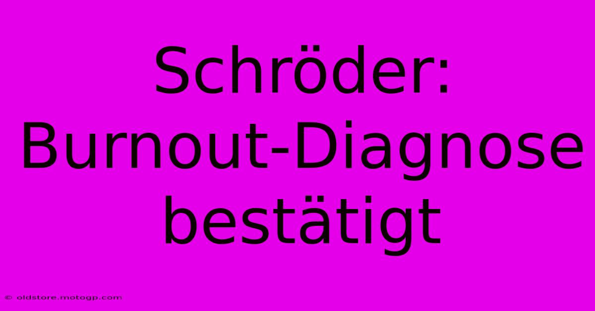 Schröder: Burnout-Diagnose Bestätigt