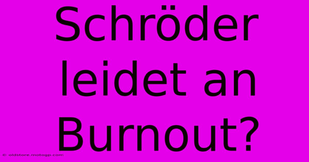 Schröder Leidet An Burnout?