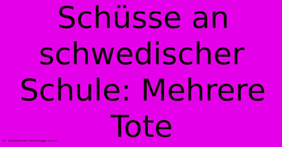 Schüsse An Schwedischer Schule: Mehrere Tote