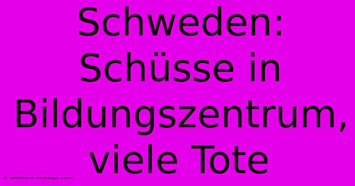 Schweden: Schüsse In Bildungszentrum, Viele Tote