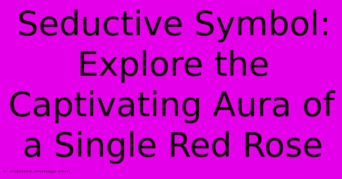 Seductive Symbol: Explore The Captivating Aura Of A Single Red Rose