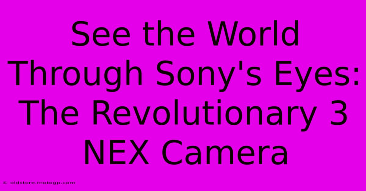 See The World Through Sony's Eyes: The Revolutionary 3 NEX Camera