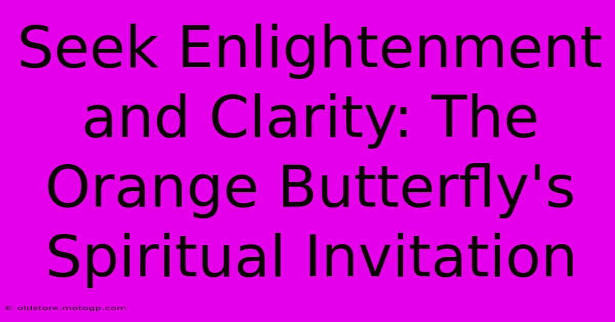 Seek Enlightenment And Clarity: The Orange Butterfly's Spiritual Invitation