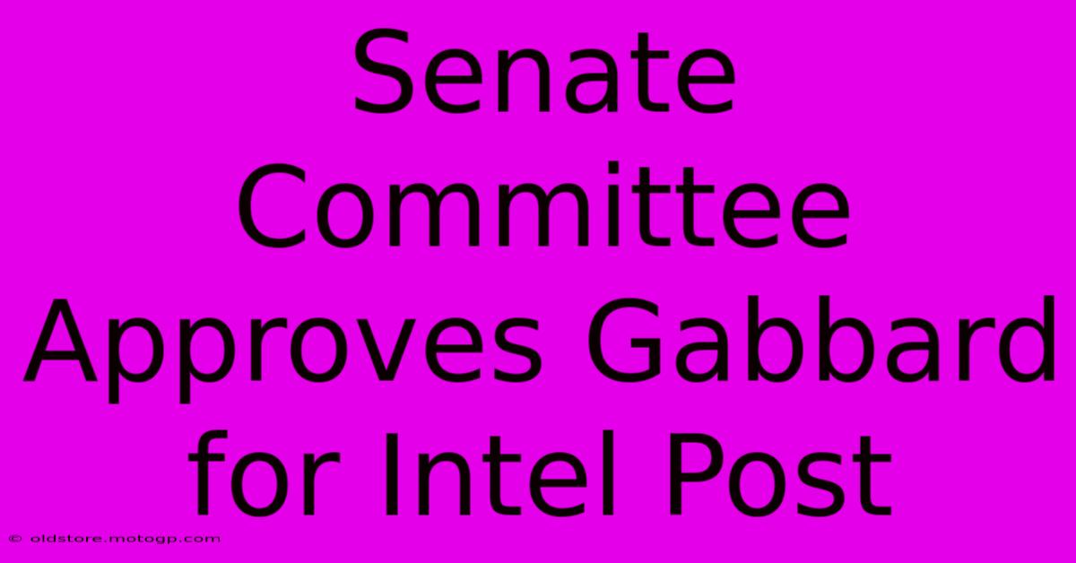 Senate Committee Approves Gabbard For Intel Post