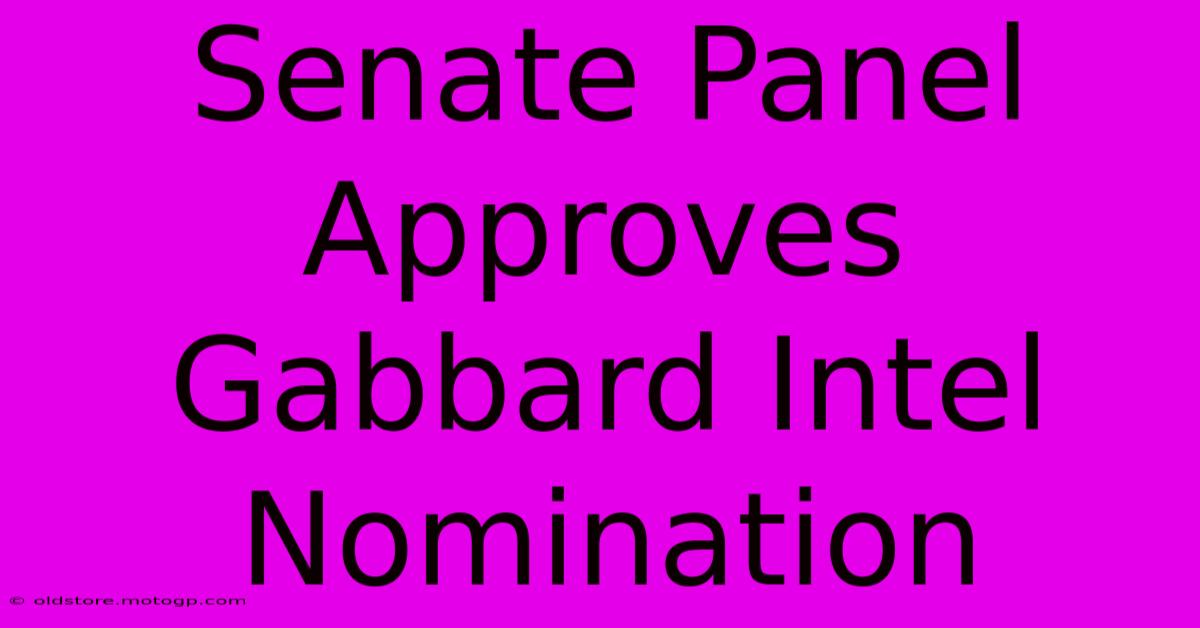 Senate Panel Approves Gabbard Intel Nomination