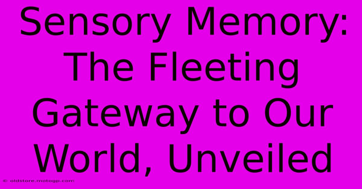 Sensory Memory: The Fleeting Gateway To Our World, Unveiled