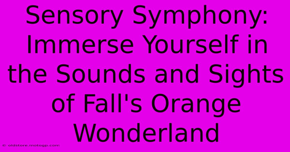 Sensory Symphony: Immerse Yourself In The Sounds And Sights Of Fall's Orange Wonderland