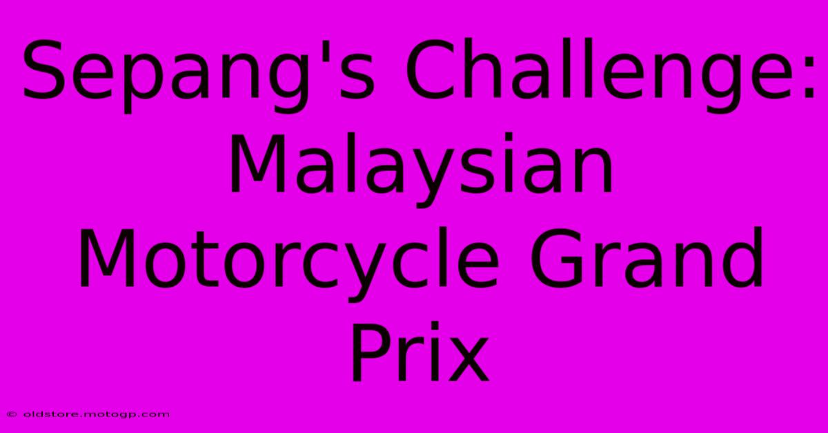 Sepang's Challenge: Malaysian Motorcycle Grand Prix