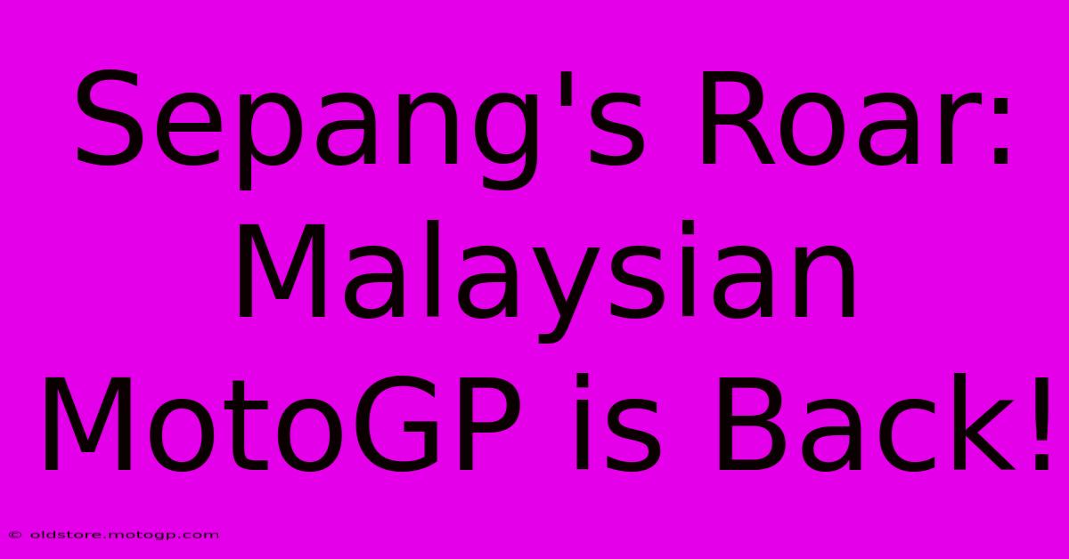 Sepang's Roar: Malaysian MotoGP Is Back!