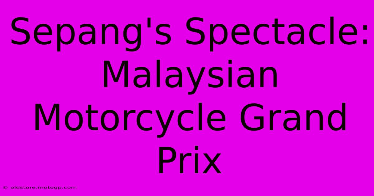 Sepang's Spectacle: Malaysian Motorcycle Grand Prix