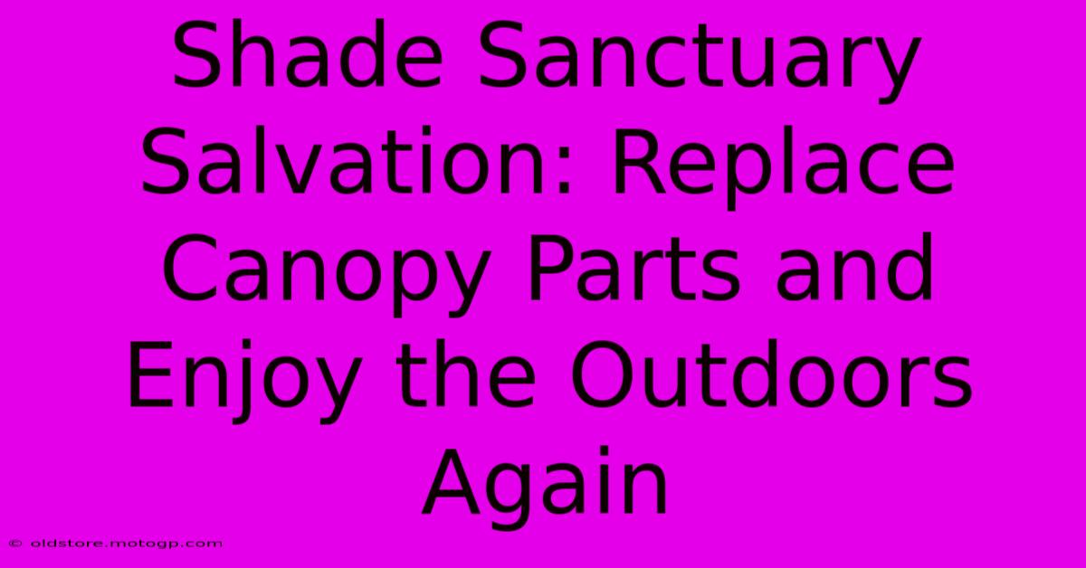 Shade Sanctuary Salvation: Replace Canopy Parts And Enjoy The Outdoors Again