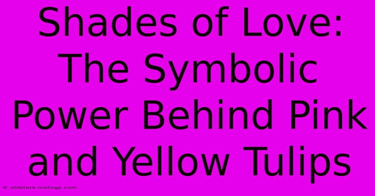 Shades Of Love: The Symbolic Power Behind Pink And Yellow Tulips