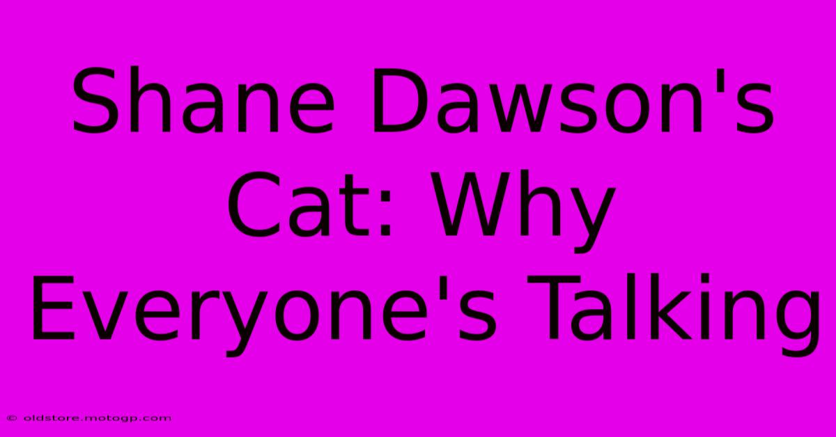 Shane Dawson's Cat: Why Everyone's Talking