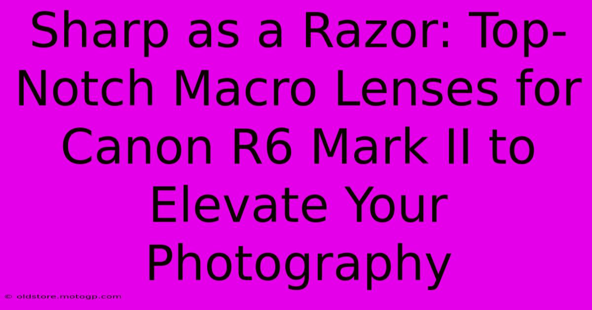 Sharp As A Razor: Top-Notch Macro Lenses For Canon R6 Mark II To Elevate Your Photography