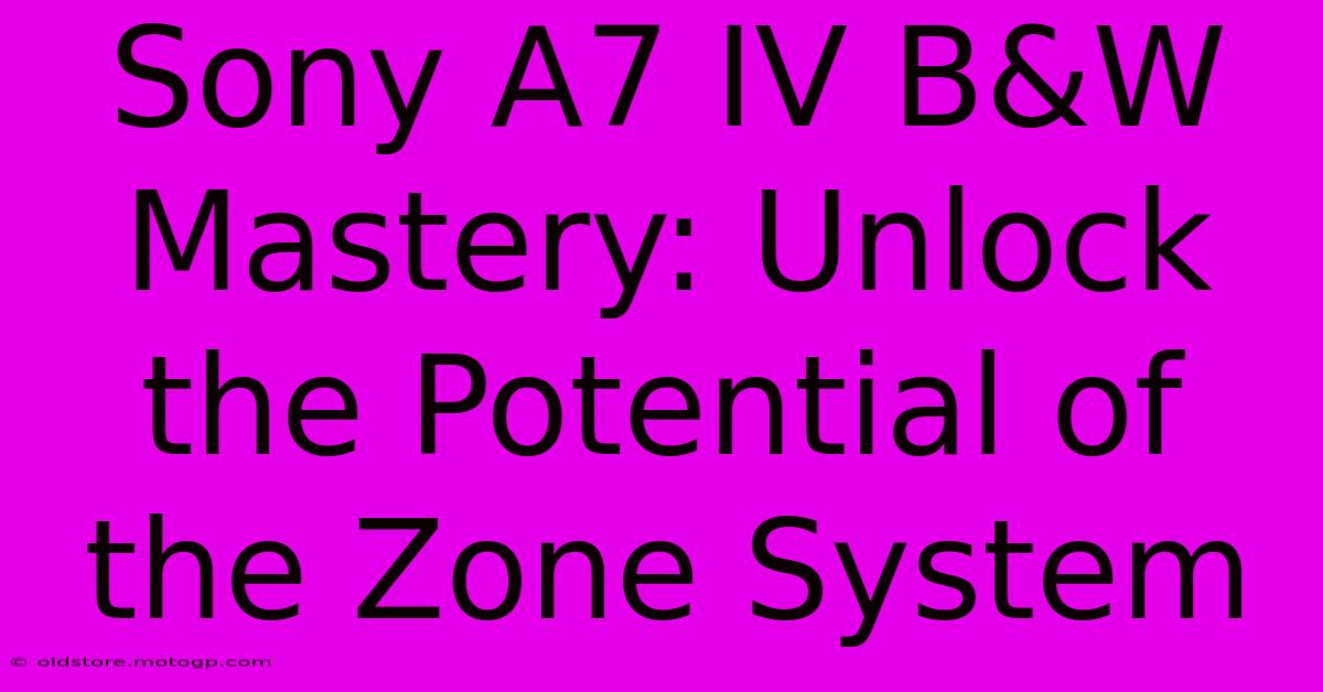 Sony A7 IV B&W Mastery: Unlock The Potential Of The Zone System