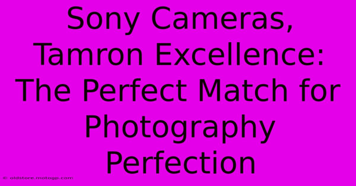 Sony Cameras, Tamron Excellence: The Perfect Match For Photography Perfection