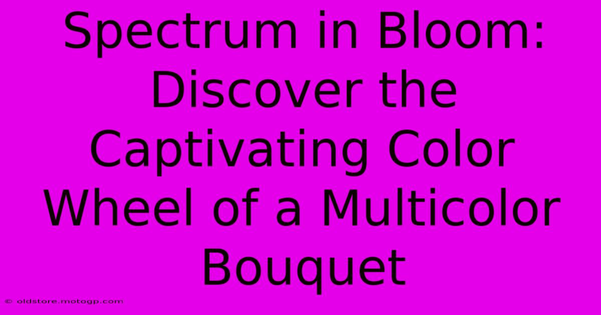 Spectrum In Bloom: Discover The Captivating Color Wheel Of A Multicolor Bouquet