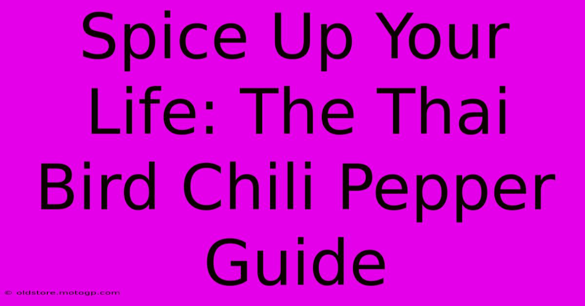 Spice Up Your Life: The Thai Bird Chili Pepper Guide