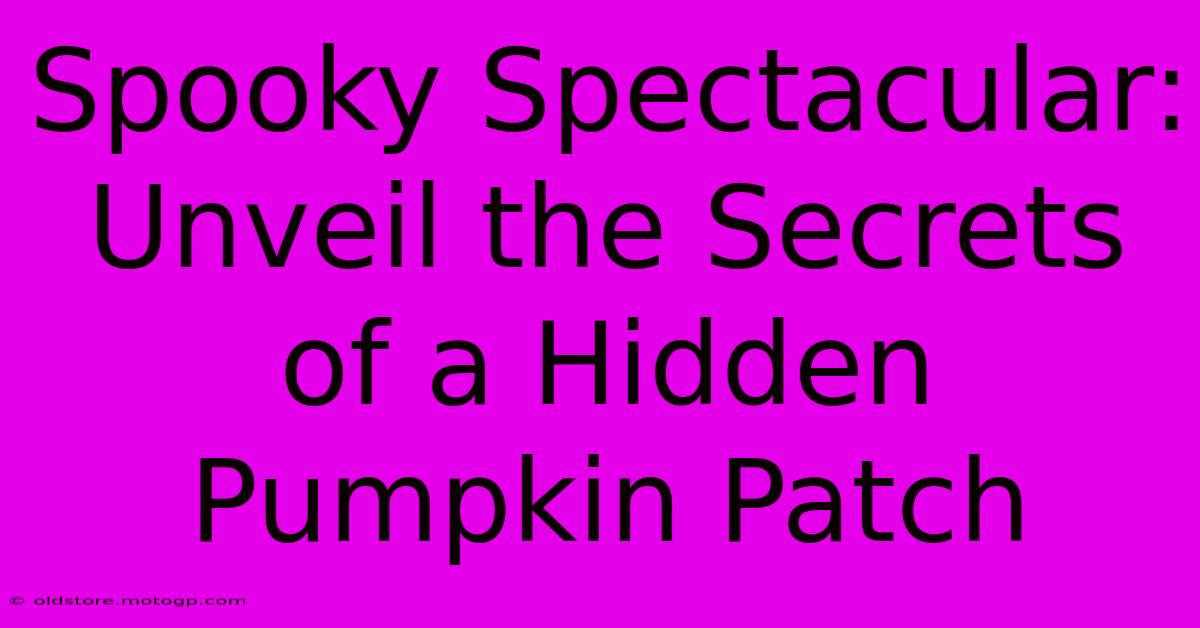 Spooky Spectacular: Unveil The Secrets Of A Hidden Pumpkin Patch