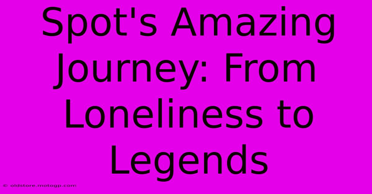 Spot's Amazing Journey: From Loneliness To Legends