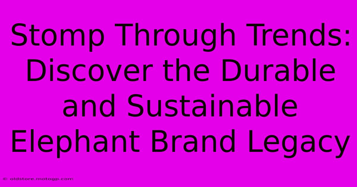 Stomp Through Trends: Discover The Durable And Sustainable Elephant Brand Legacy