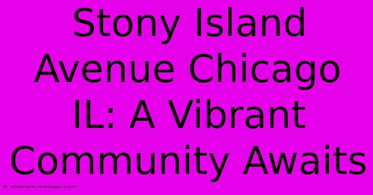 Stony Island Avenue Chicago IL: A Vibrant Community Awaits