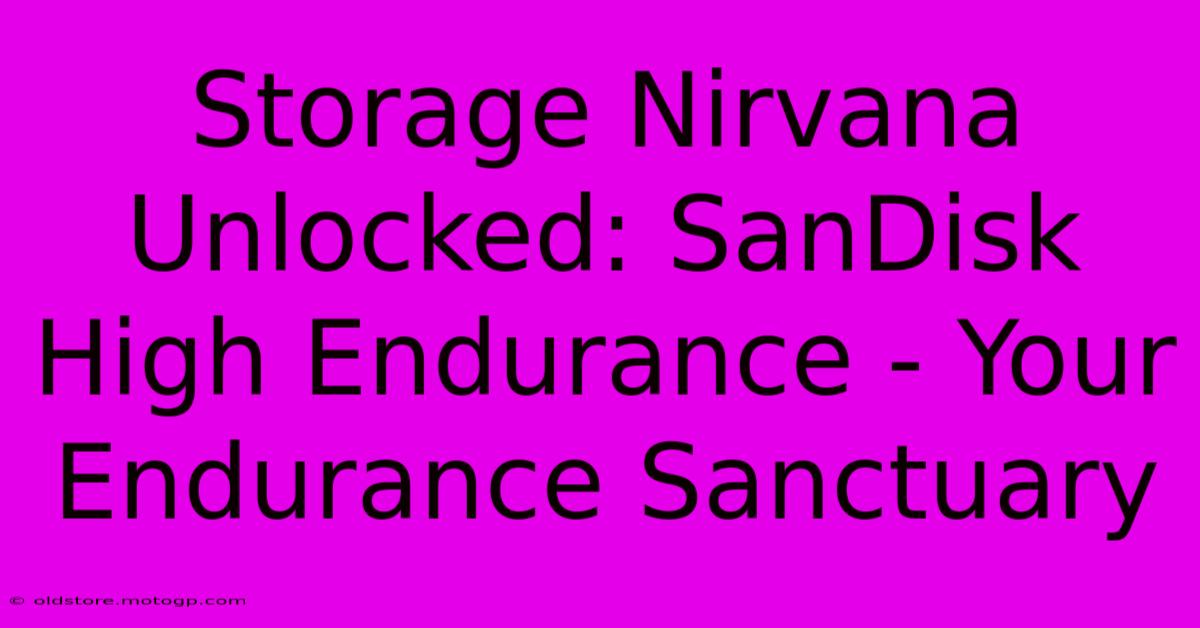 Storage Nirvana Unlocked: SanDisk High Endurance - Your Endurance Sanctuary