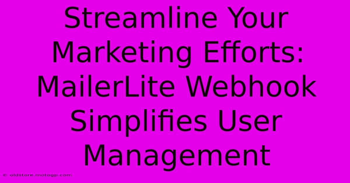 Streamline Your Marketing Efforts: MailerLite Webhook Simplifies User Management