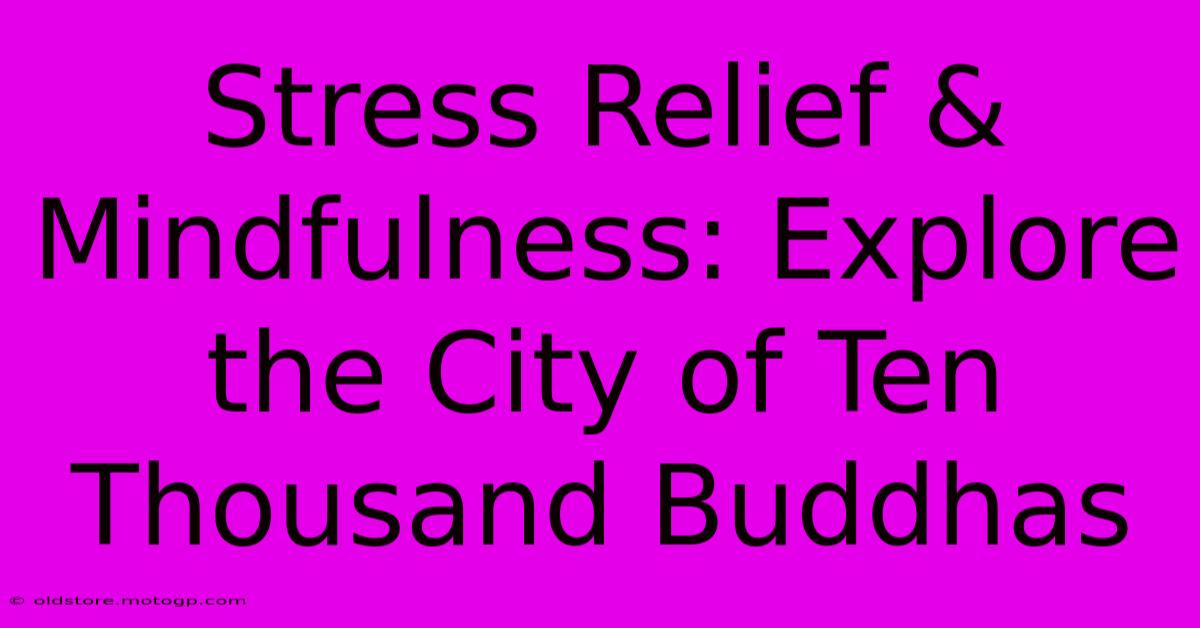 Stress Relief & Mindfulness: Explore The City Of Ten Thousand Buddhas