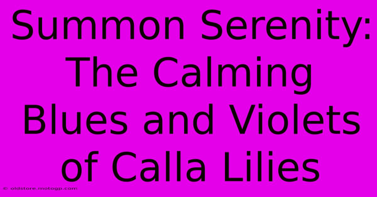 Summon Serenity: The Calming Blues And Violets Of Calla Lilies