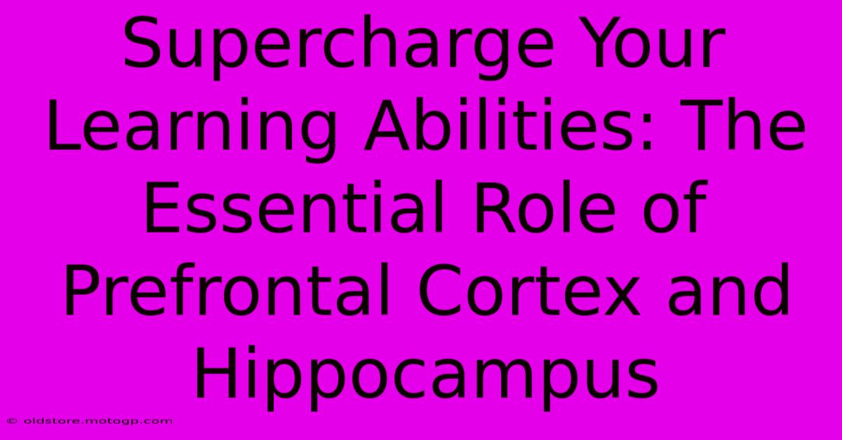 Supercharge Your Learning Abilities: The Essential Role Of Prefrontal Cortex And Hippocampus