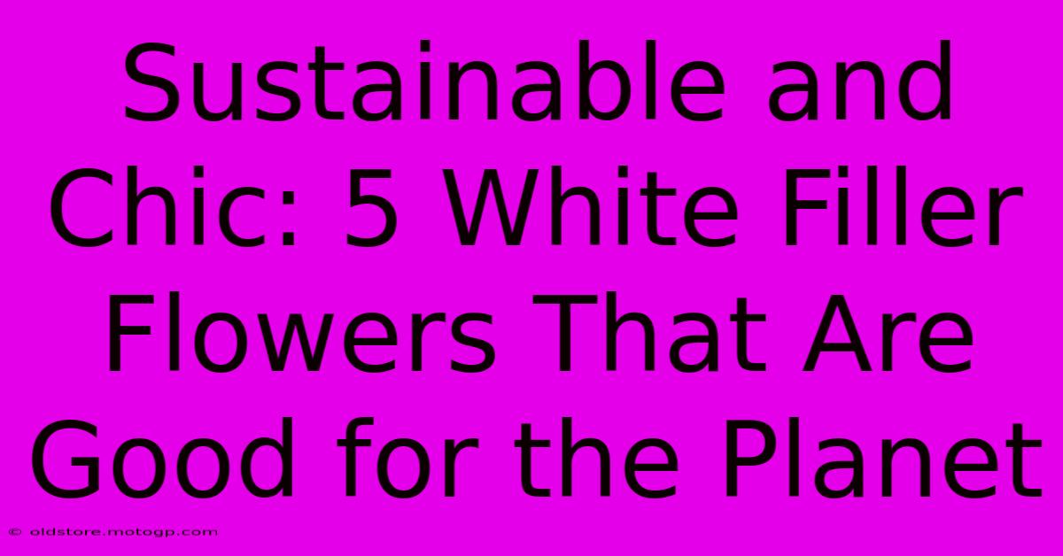 Sustainable And Chic: 5 White Filler Flowers That Are Good For The Planet