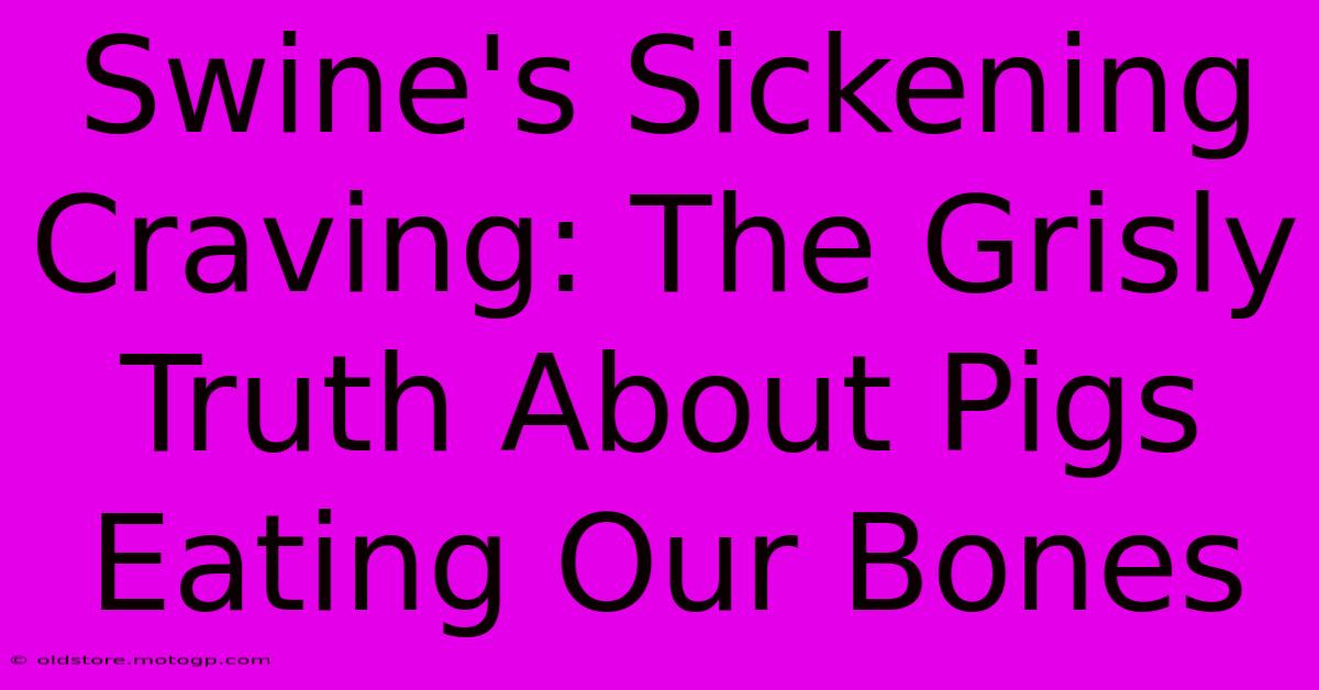 Swine's Sickening Craving: The Grisly Truth About Pigs Eating Our Bones