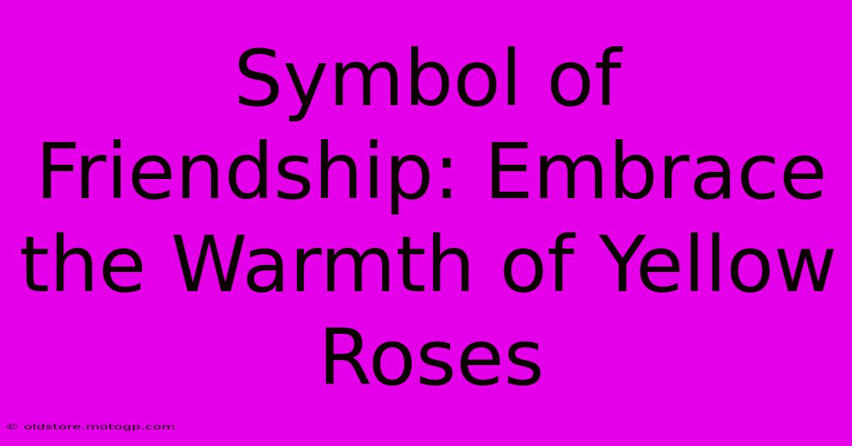 Symbol Of Friendship: Embrace The Warmth Of Yellow Roses