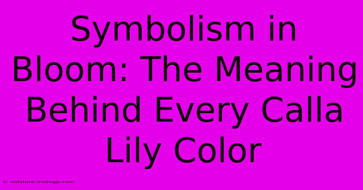 Symbolism In Bloom: The Meaning Behind Every Calla Lily Color