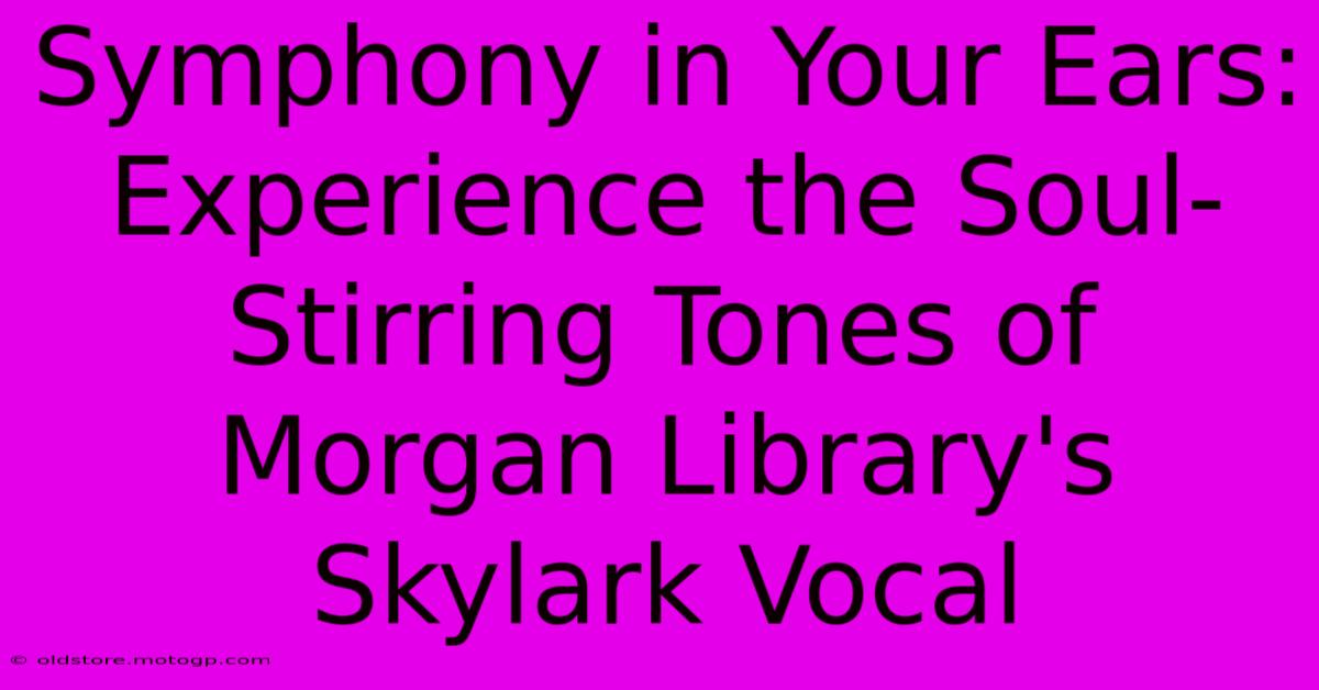 Symphony In Your Ears: Experience The Soul-Stirring Tones Of Morgan Library's Skylark Vocal