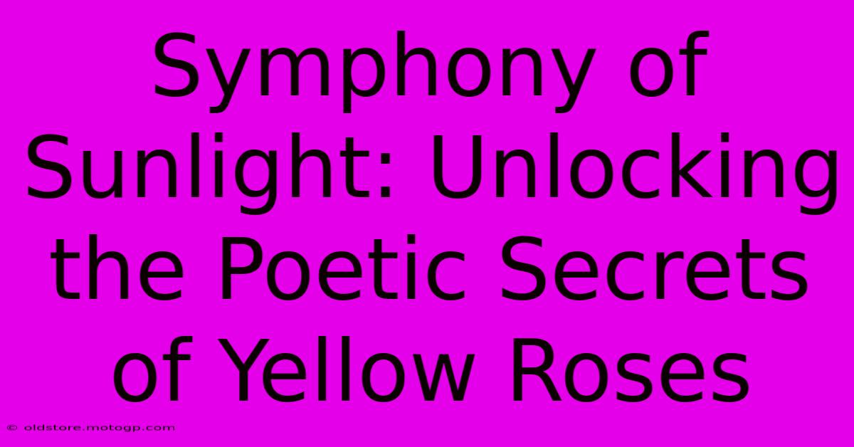 Symphony Of Sunlight: Unlocking The Poetic Secrets Of Yellow Roses