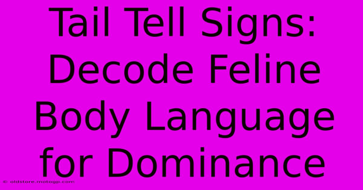 Tail Tell Signs: Decode Feline Body Language For Dominance