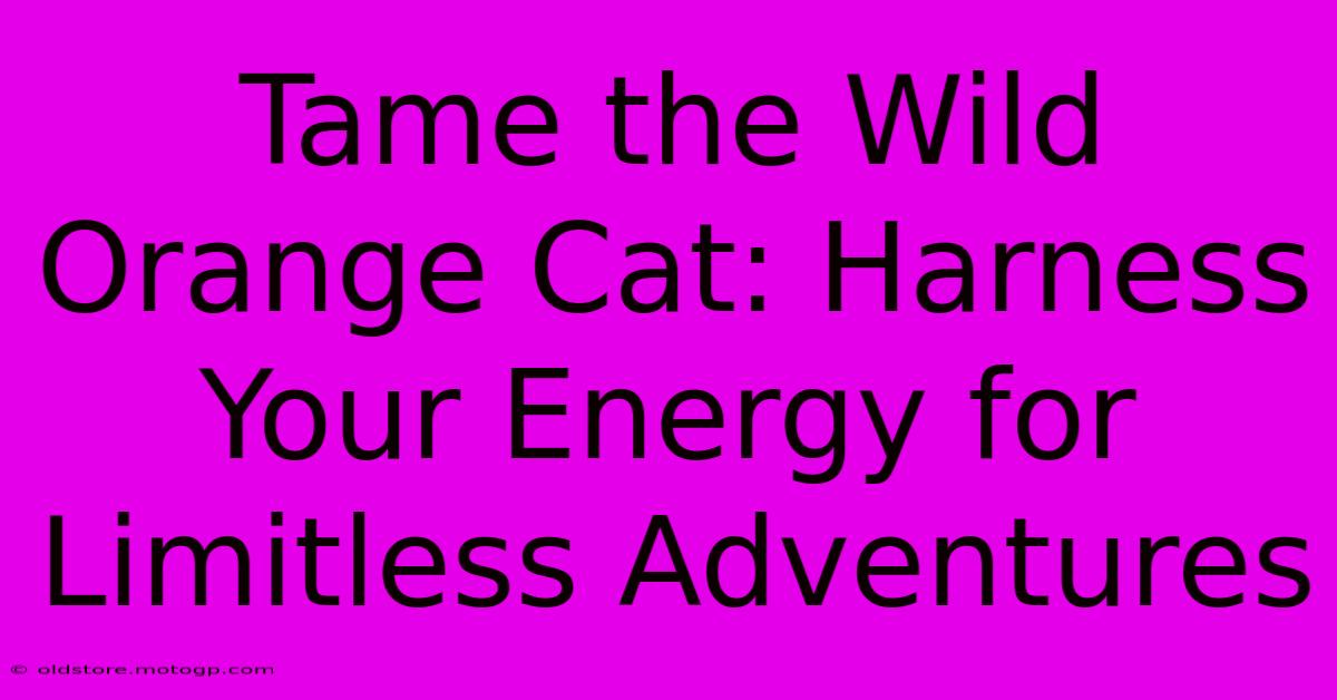 Tame The Wild Orange Cat: Harness Your Energy For Limitless Adventures