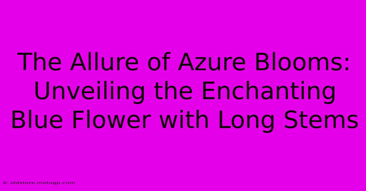 The Allure Of Azure Blooms: Unveiling The Enchanting Blue Flower With Long Stems