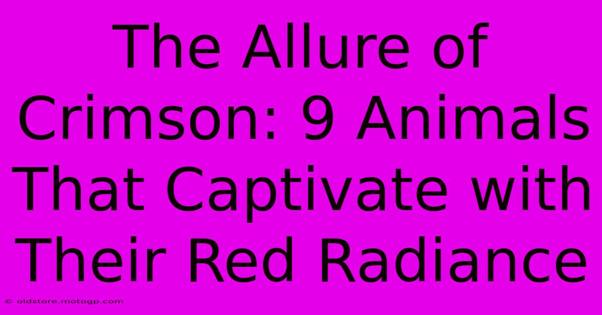 The Allure Of Crimson: 9 Animals That Captivate With Their Red Radiance