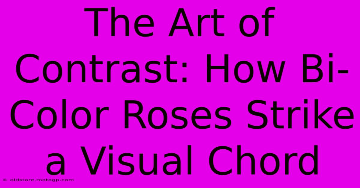 The Art Of Contrast: How Bi-Color Roses Strike A Visual Chord