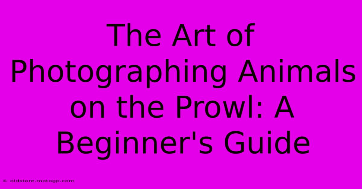 The Art Of Photographing Animals On The Prowl: A Beginner's Guide