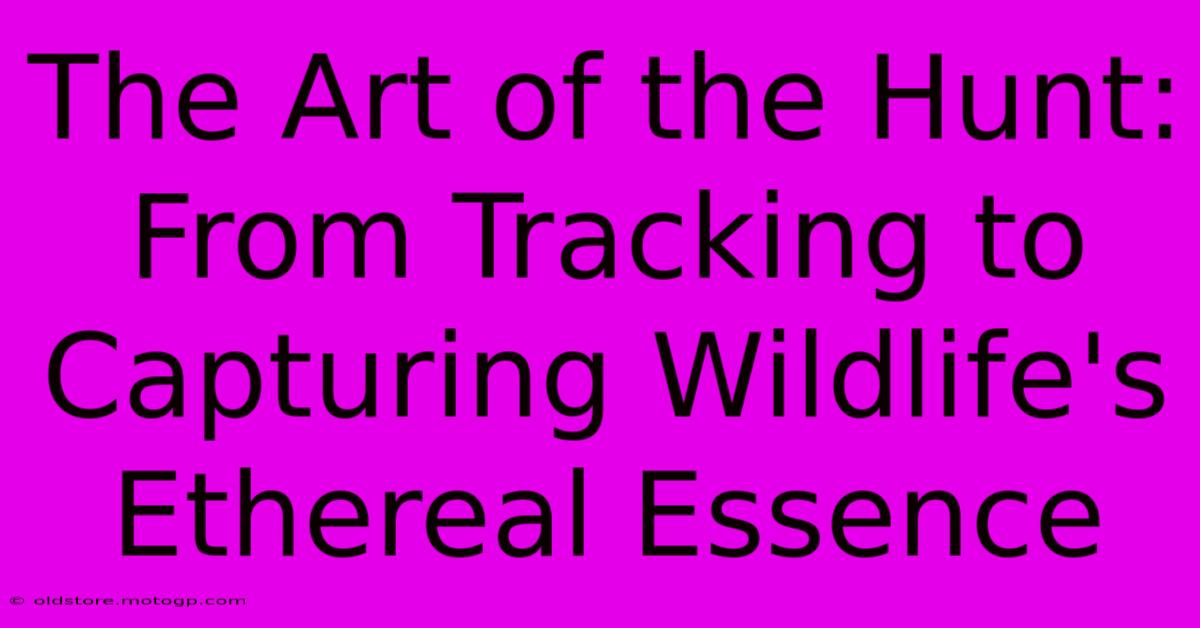 The Art Of The Hunt: From Tracking To Capturing Wildlife's Ethereal Essence