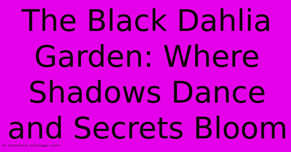 The Black Dahlia Garden: Where Shadows Dance And Secrets Bloom