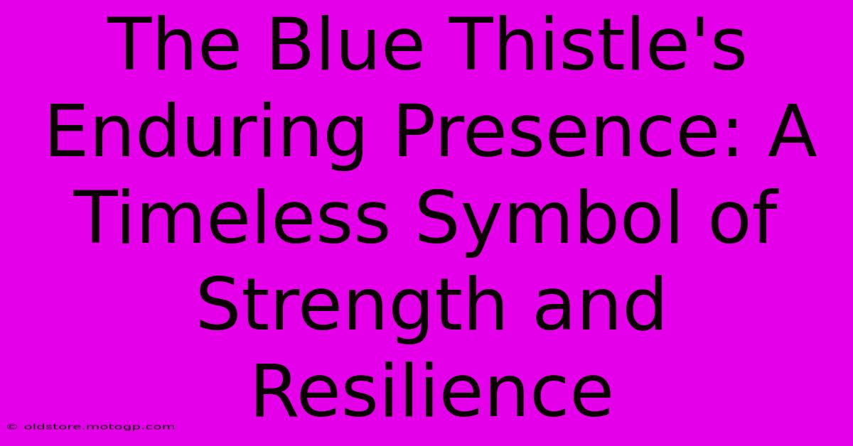 The Blue Thistle's Enduring Presence: A Timeless Symbol Of Strength And Resilience