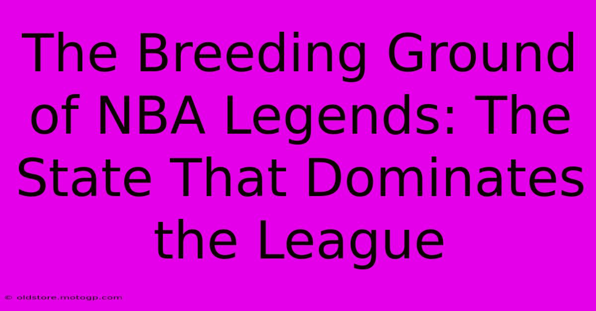 The Breeding Ground Of NBA Legends: The State That Dominates The League