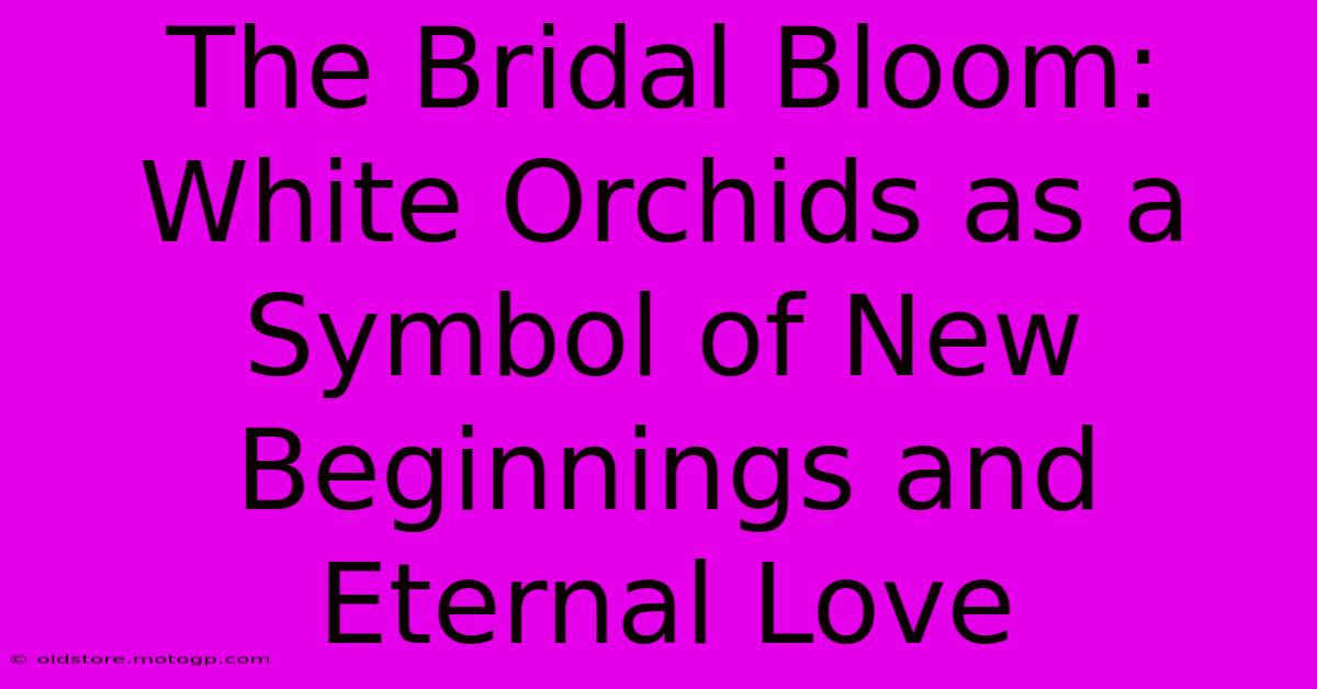 The Bridal Bloom: White Orchids As A Symbol Of New Beginnings And Eternal Love