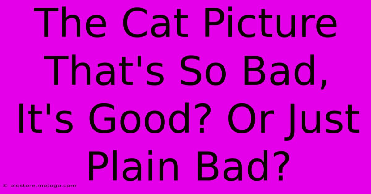 The Cat Picture That's So Bad, It's Good? Or Just Plain Bad?