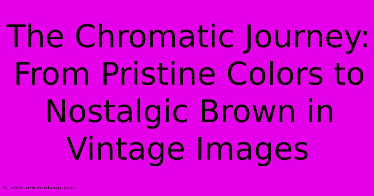 The Chromatic Journey: From Pristine Colors To Nostalgic Brown In Vintage Images